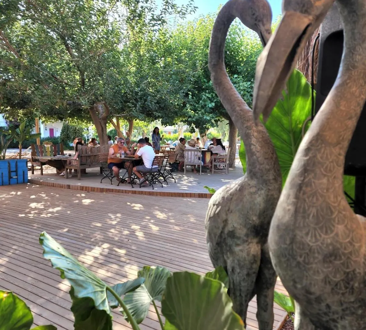 Hotel Kefi Beach&Suites Ortakent