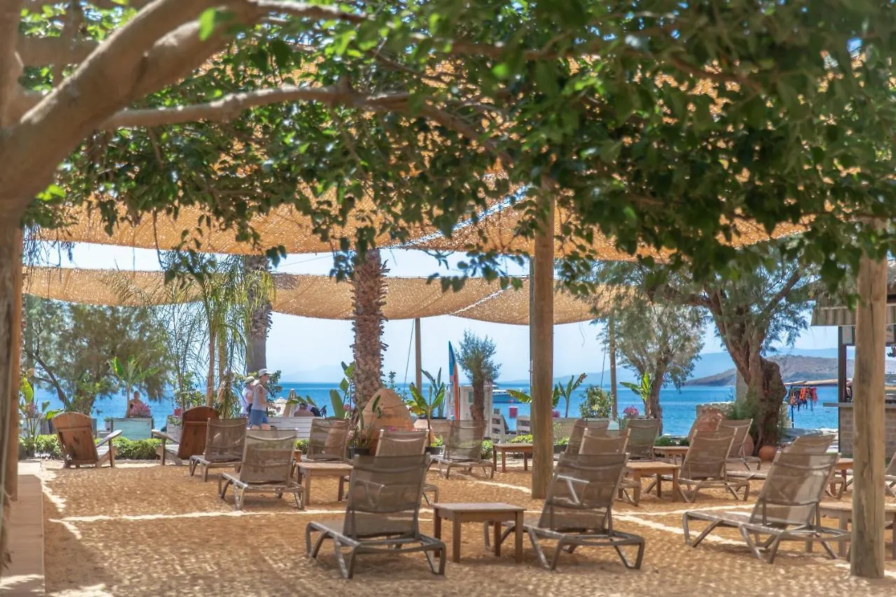 Kefi Beach & Suites Ortakent